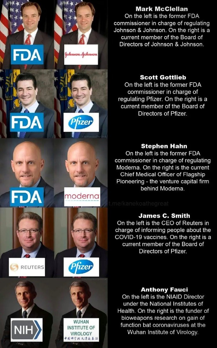 God is in the Rain🐧🐈‍⬛🐾 tweet media