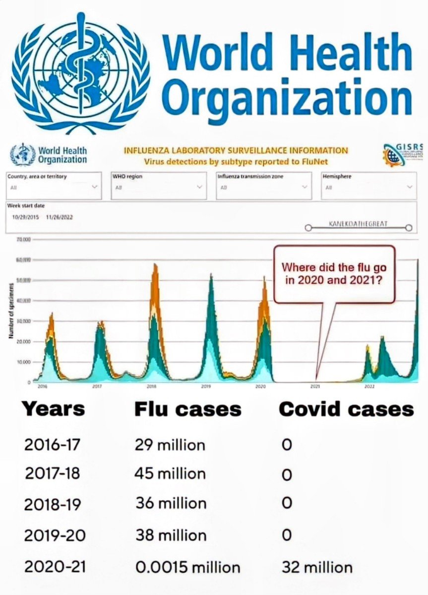 God is in the Rain🐧🐈‍⬛🐾 tweet media