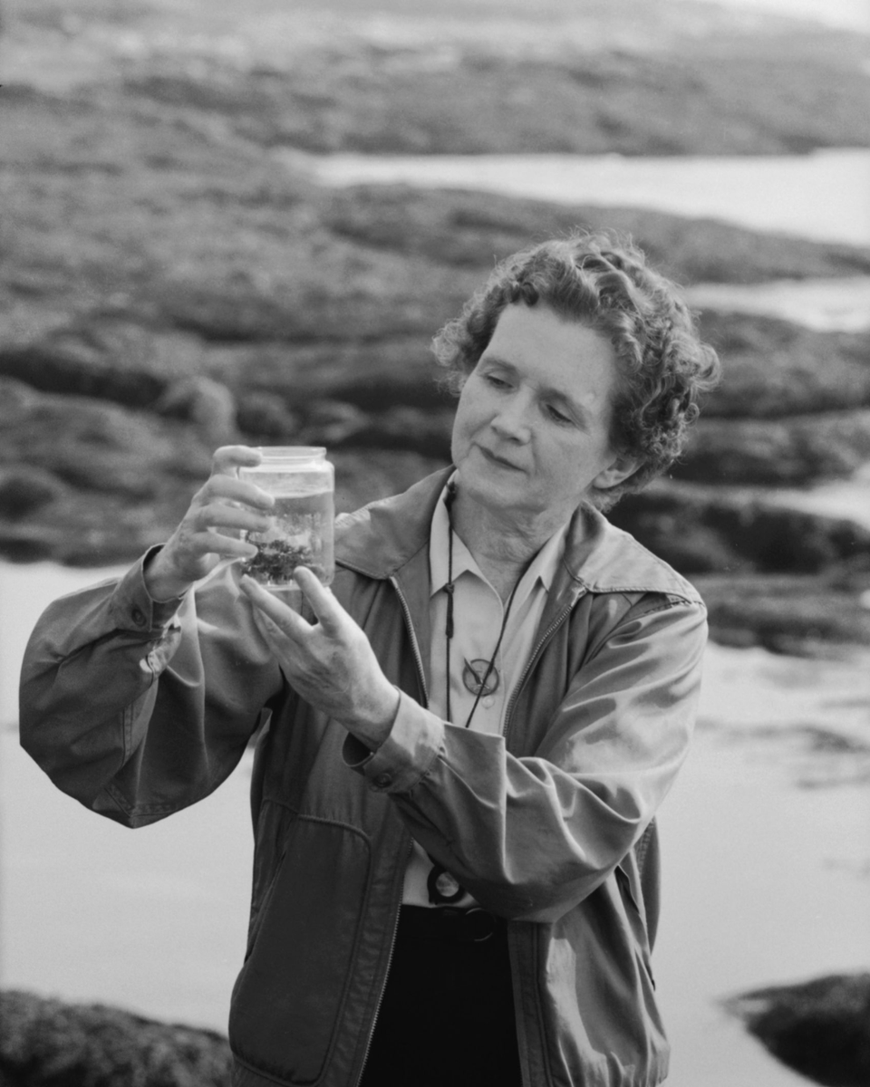 Rachel Carson Council tweet media