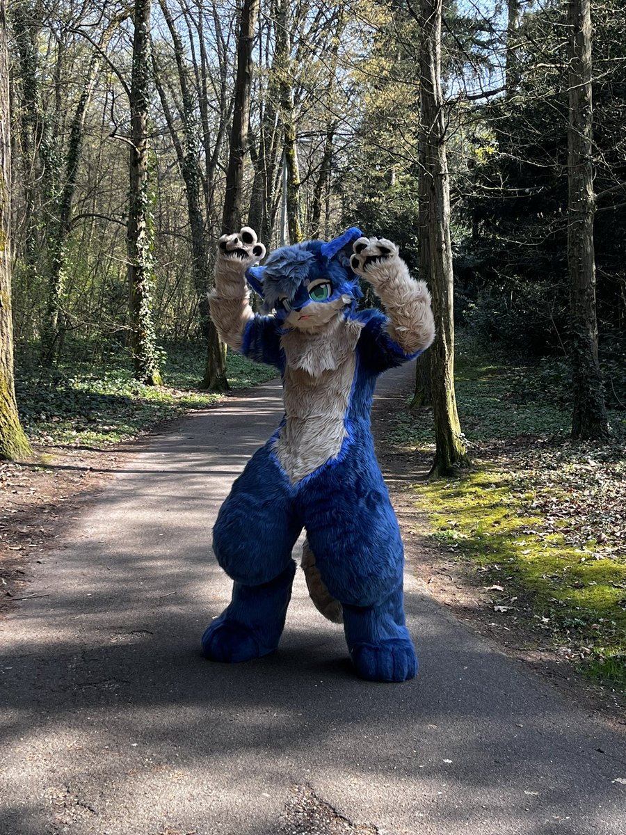 KiecoTheFox ΘΔ🏳️⚧️ tweet media