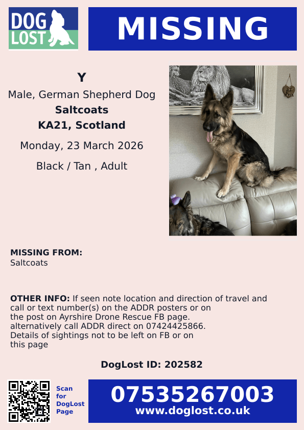 chris towers tweet media