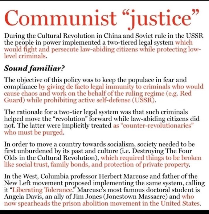 LÈAD PATRIOT 🇺🇸 tweet media