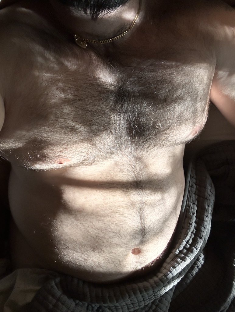 MASTER 🐻 tweet media