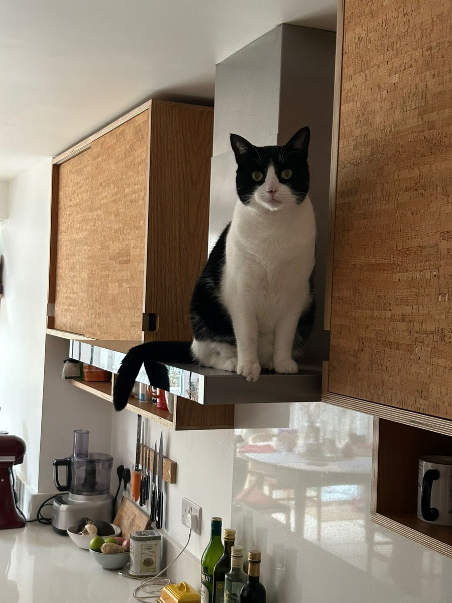 Lucy Worsley tweet media