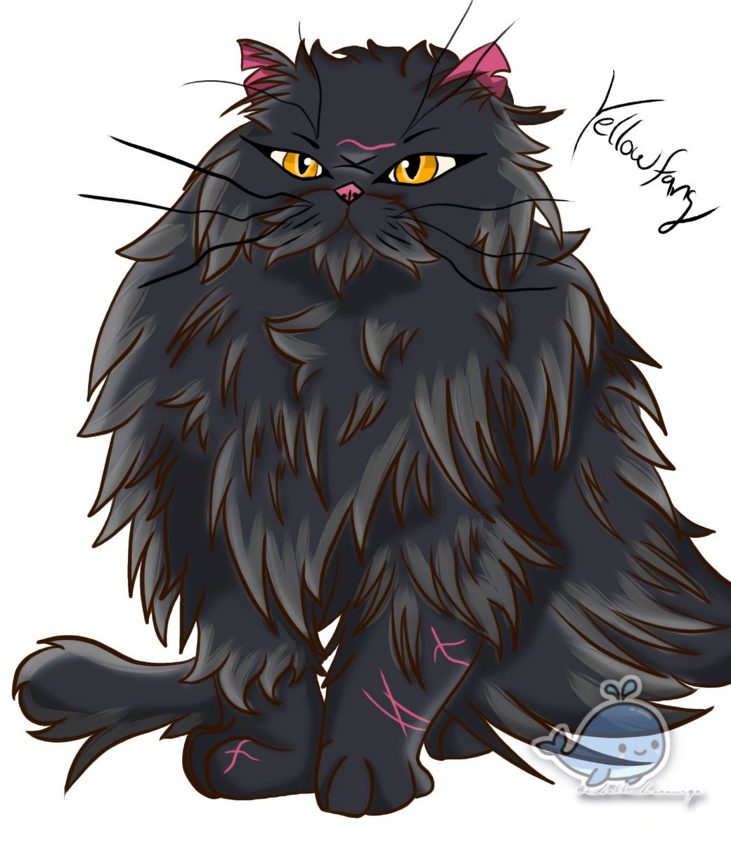 scourge_hellish's tweet photo. UwU Yellowfang
#yellowfang #waca #warriorcats #fanart https://t.co/SZXiTHcqg4