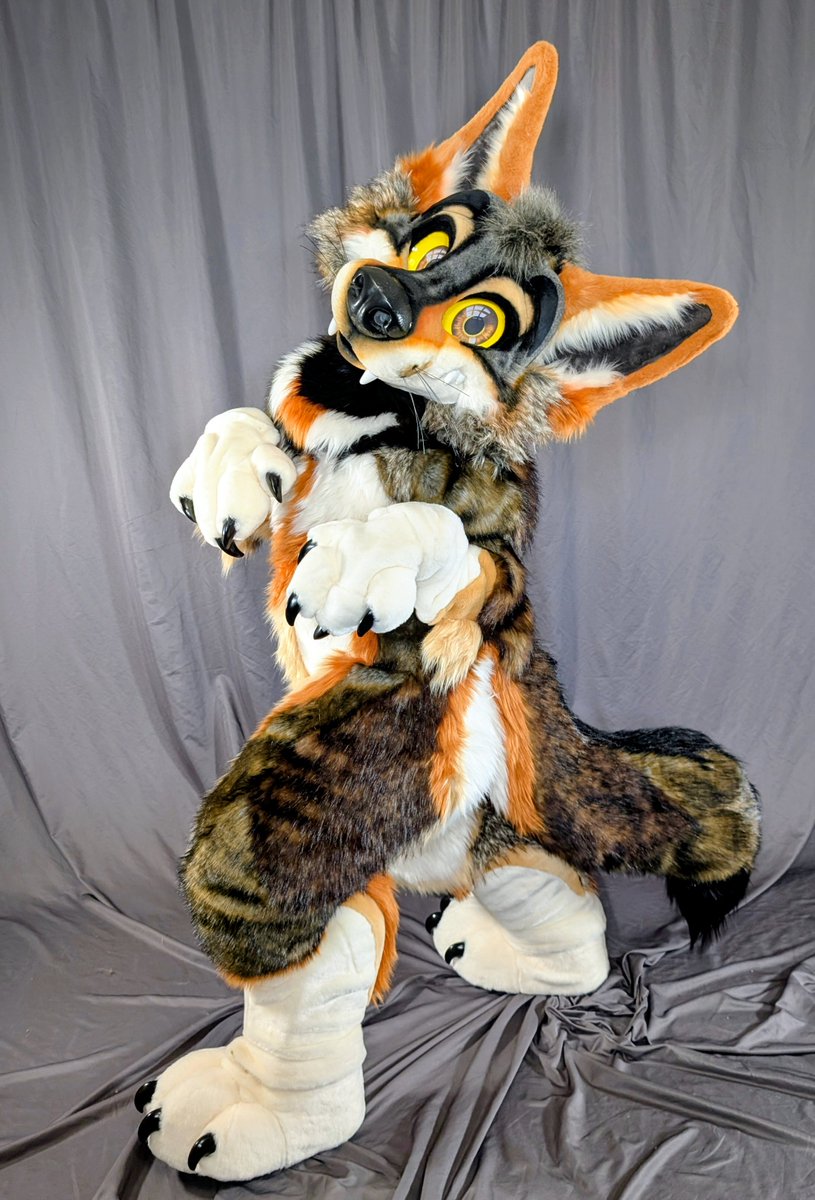 More Fur Less tweet media