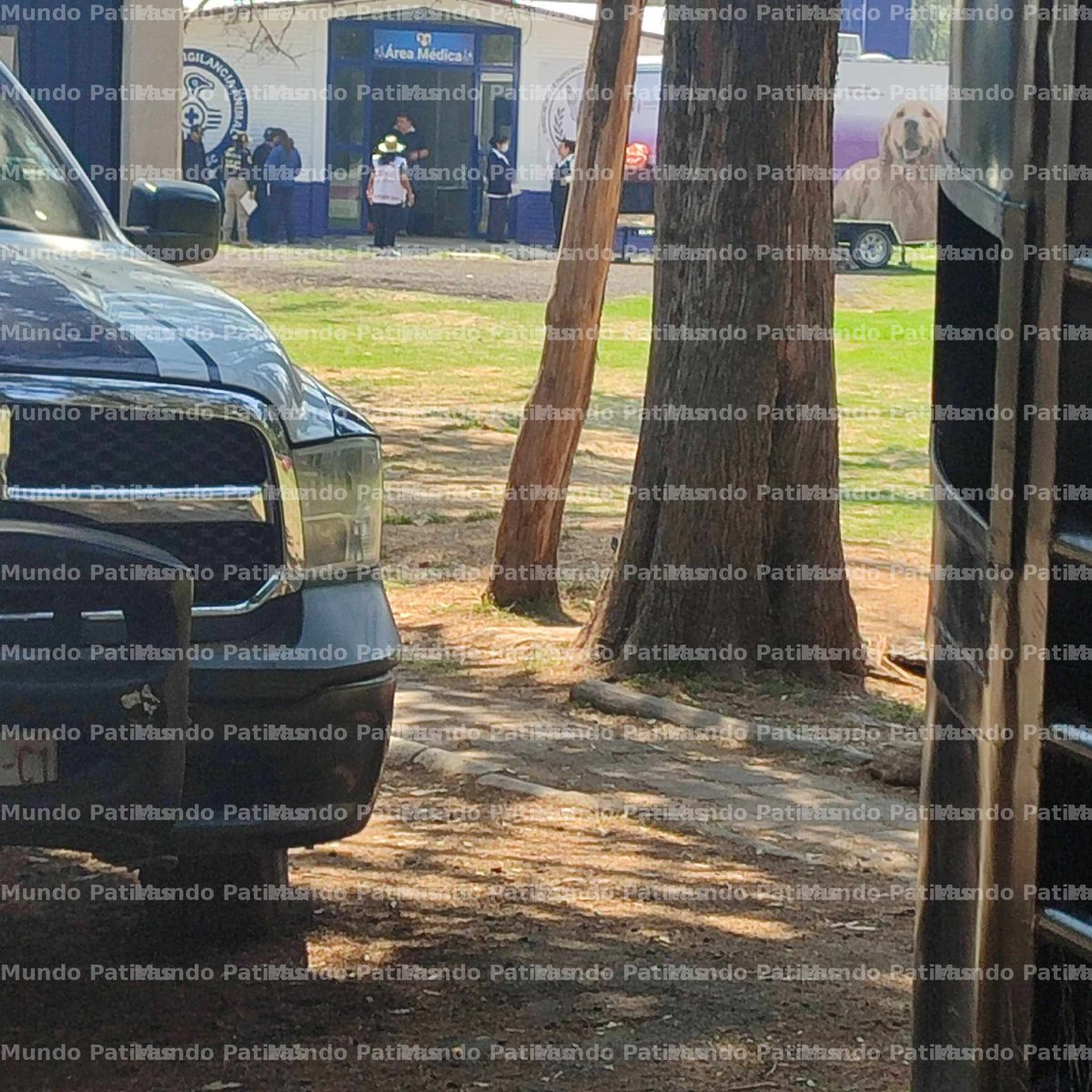 Mundo Patitas AC tweet media