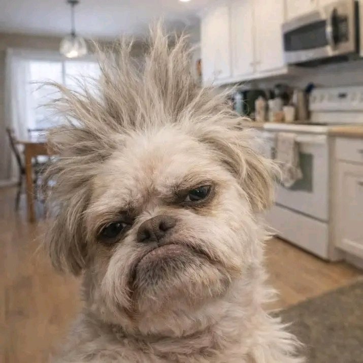 🎙THE GEOPOL🎙 tweet media