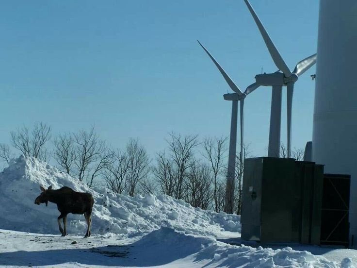 Reagan Paul tweet media