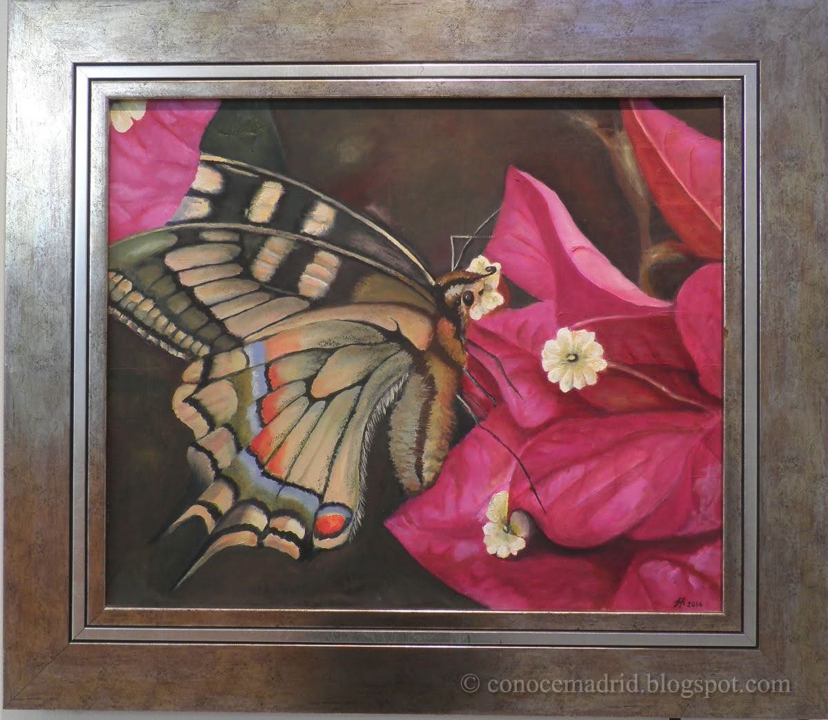 Conocer Madrid tweet media