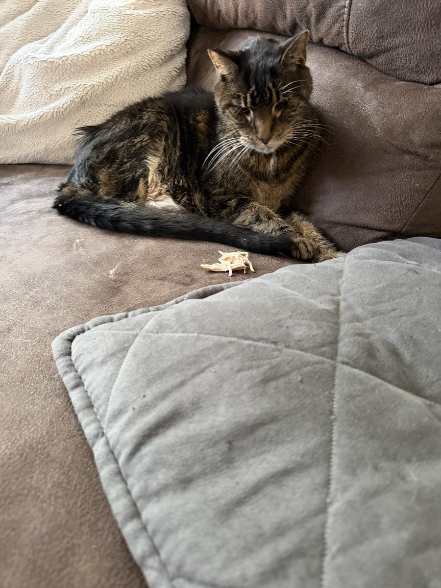 LoisAceLane tweet media