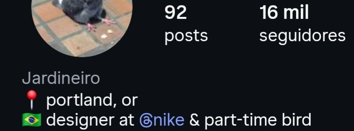 Joaquin Teixeira tweet media