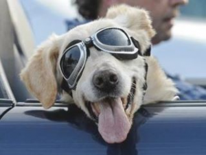 𝐂𝐡𝐚𝐫𝐥𝐨𝐭𝐭𝐞 𝐓𝐫𝐚𝐟𝐟𝐢𝐜𝐆𝐮𝐲 tweet media