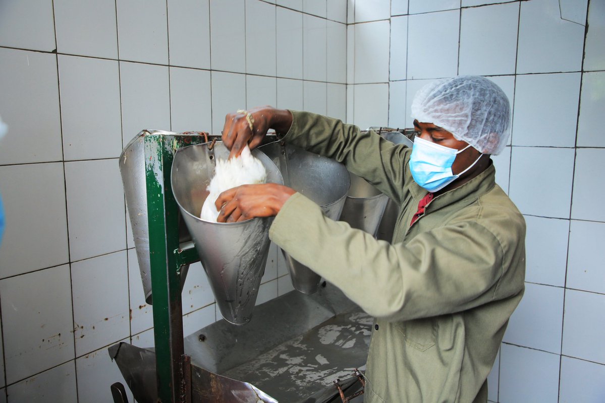 Noella Shyaka 💜 tweet media