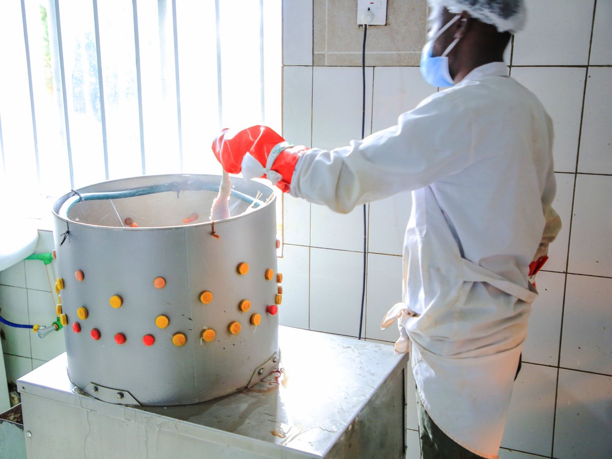 Noella Shyaka 💜 tweet media