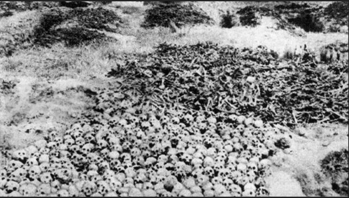 JF Kajeh tweet media