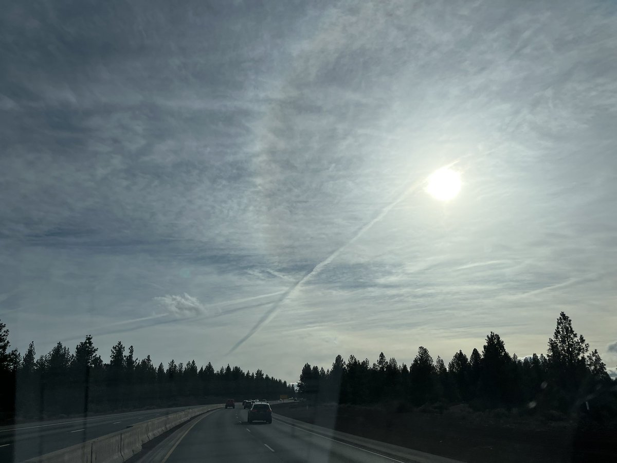 ChrisXIII tweet media