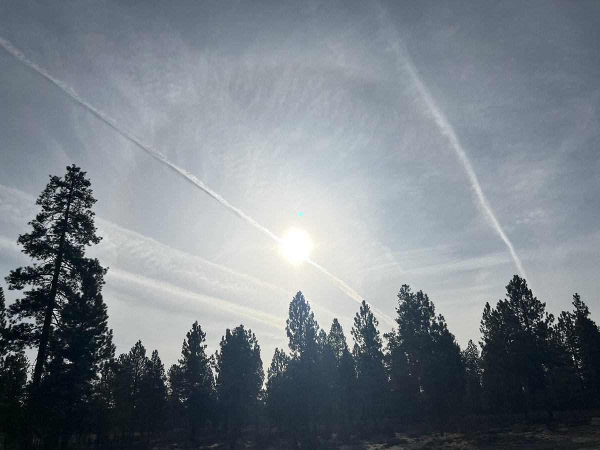 ChrisXIII tweet media