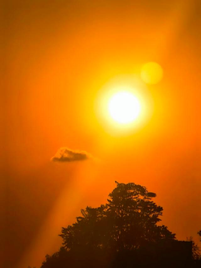 lindsay Wilson tweet media