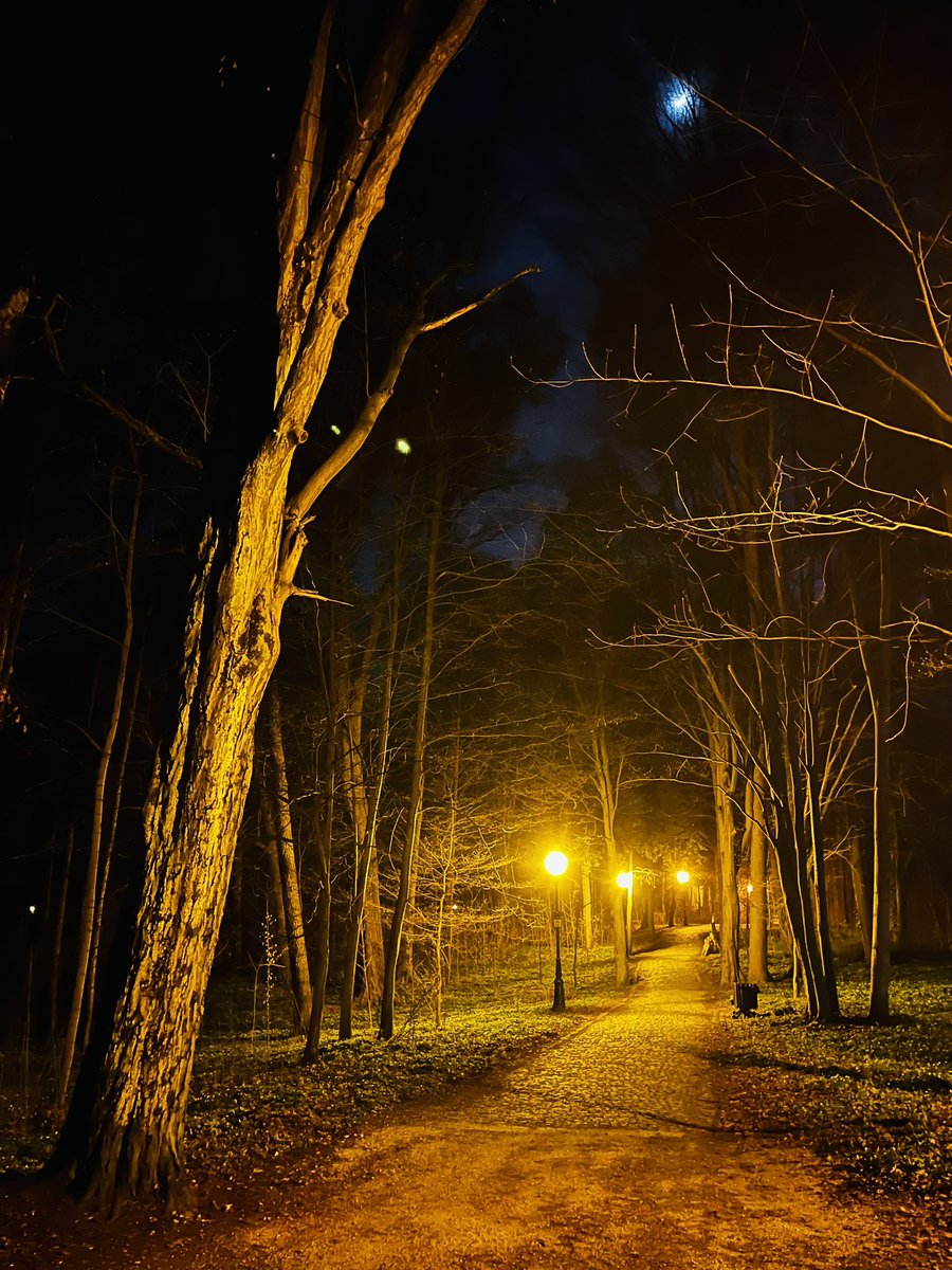 Barbaraxy tweet media