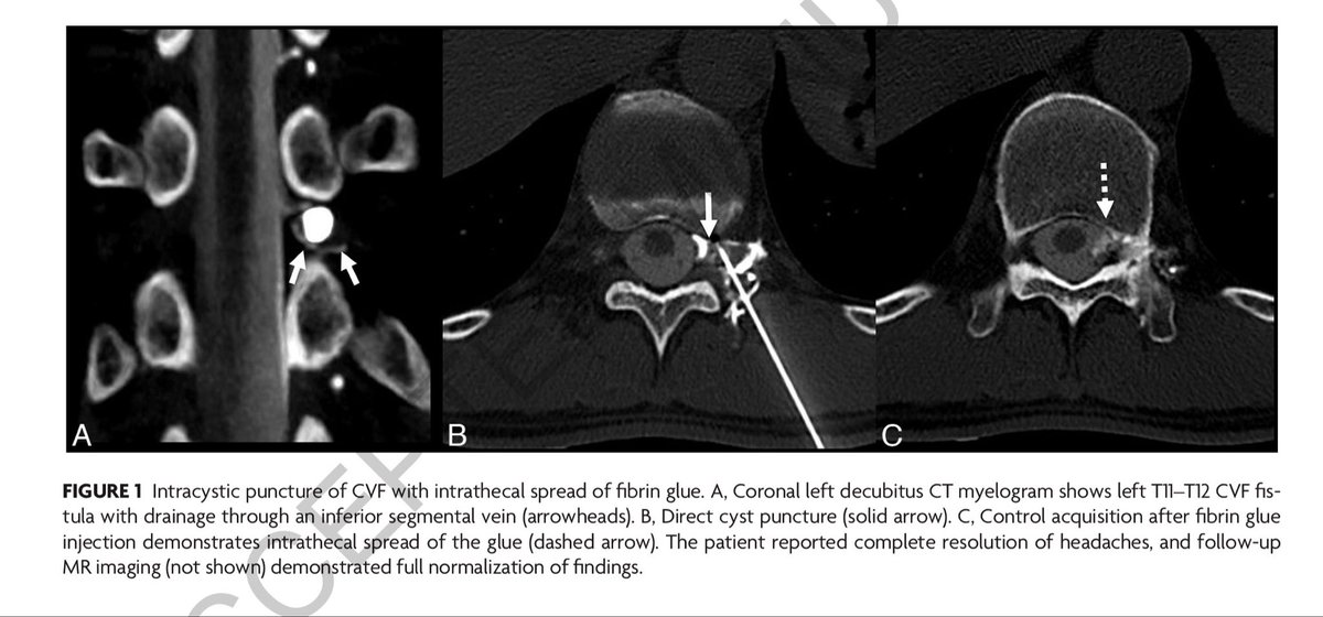 Mark Mamlouk tweet media
