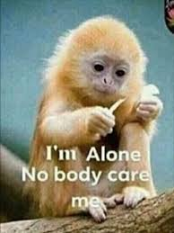 Roderic Gale ⚔️ Vtuber tweet media