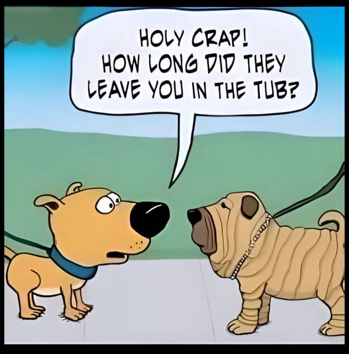 DeeDee Hayes tweet media