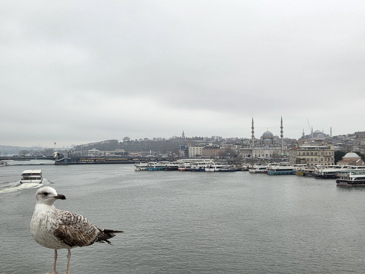 Foot Roumain 🇷🇴 tweet media