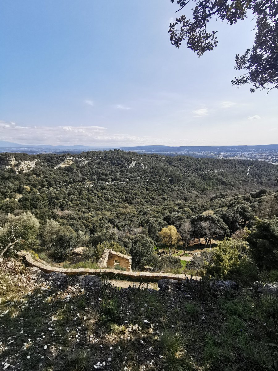 Mysato 🎀 (ex peekmin) tweet media