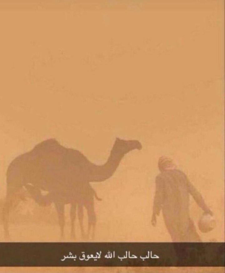 عبدالرحمن tweet media