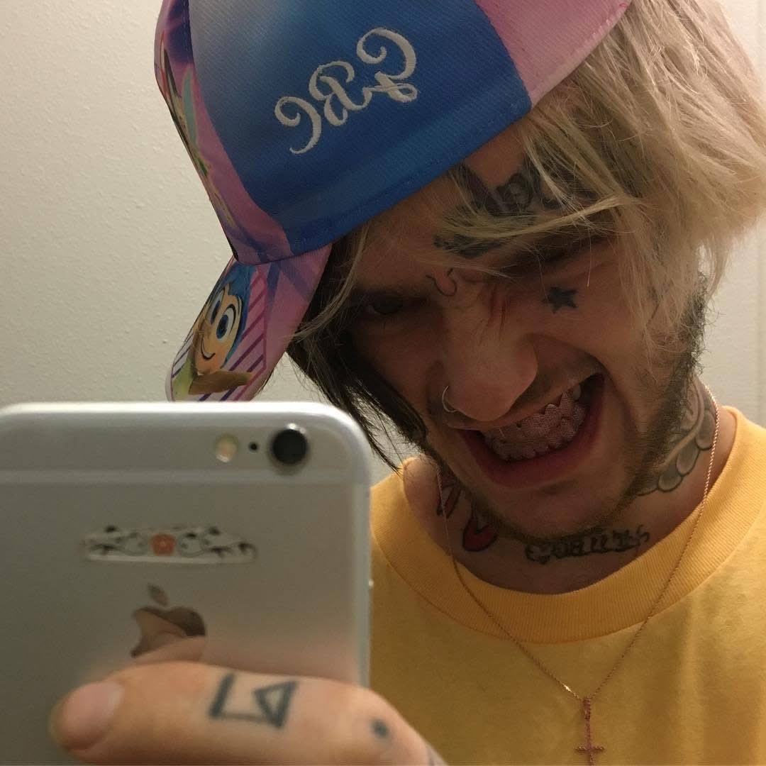 charlotte tweet media