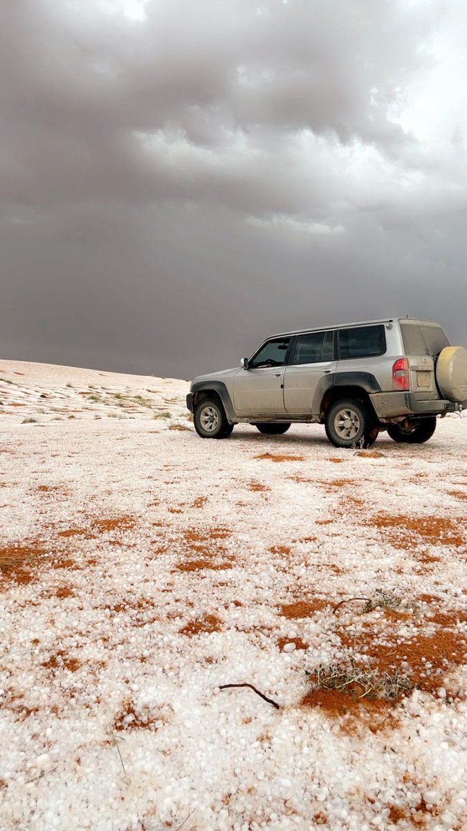 طارق أبانمي - الرياض tweet media