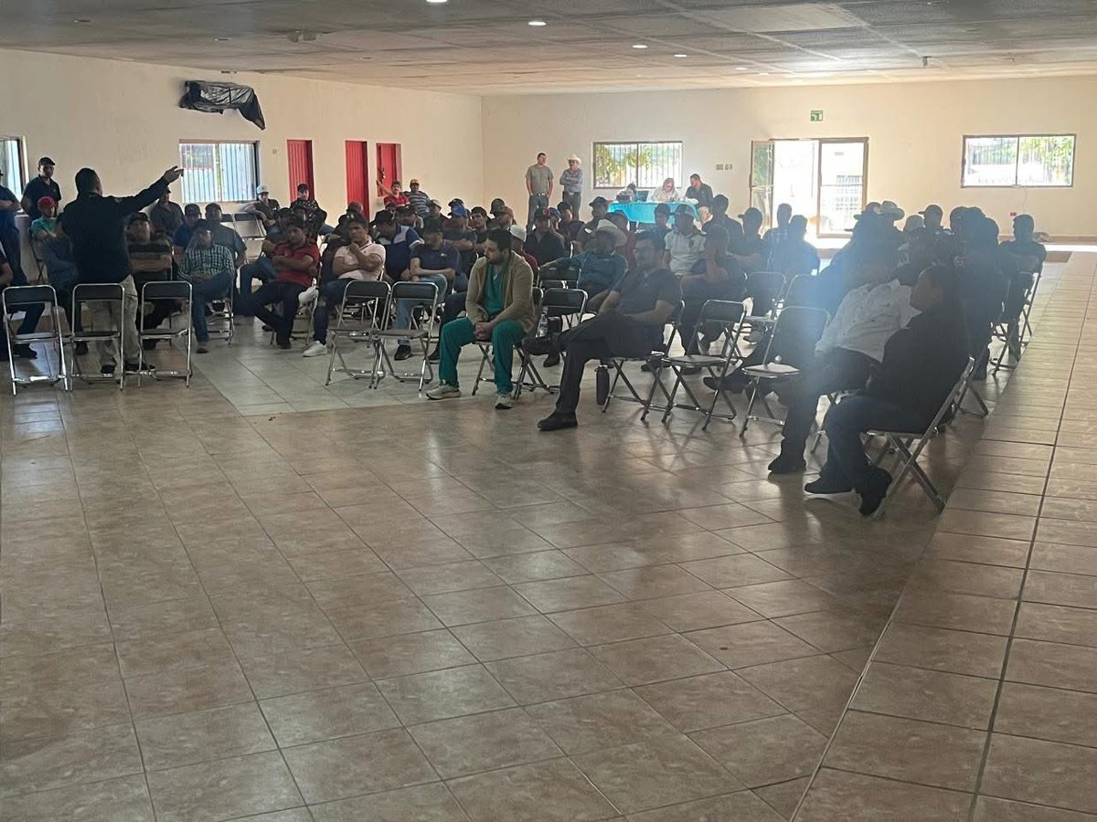 Protección Civil Sonora tweet media