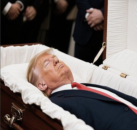 Mark E. Scott tweet media