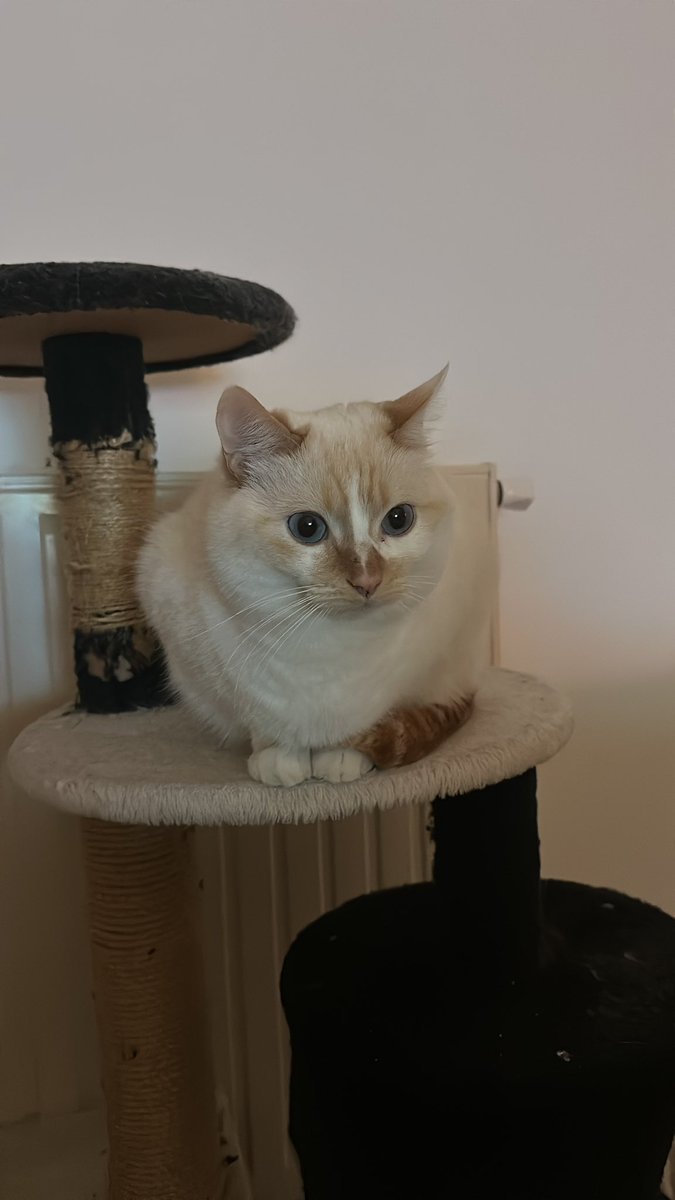 latte cœur lpb tweet media