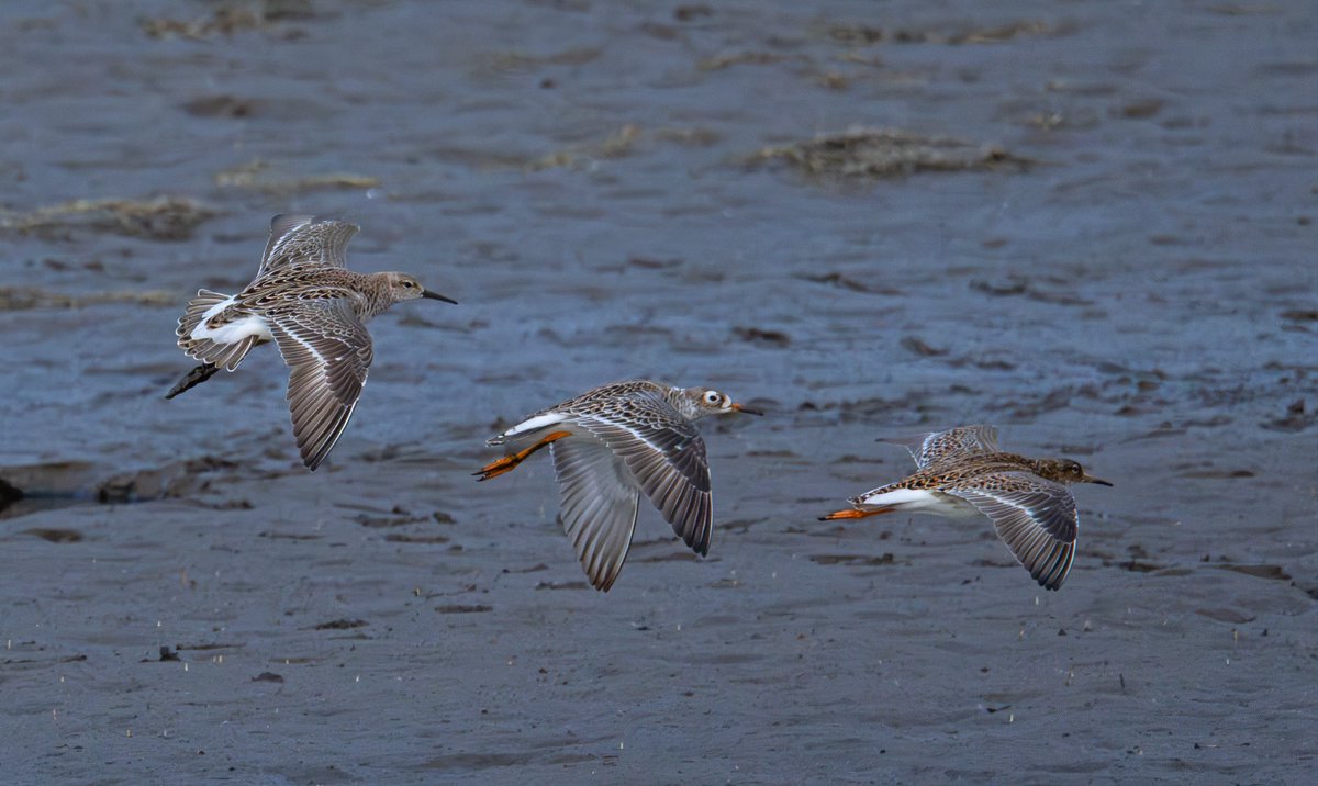 Robert Gretzyngier tweet media