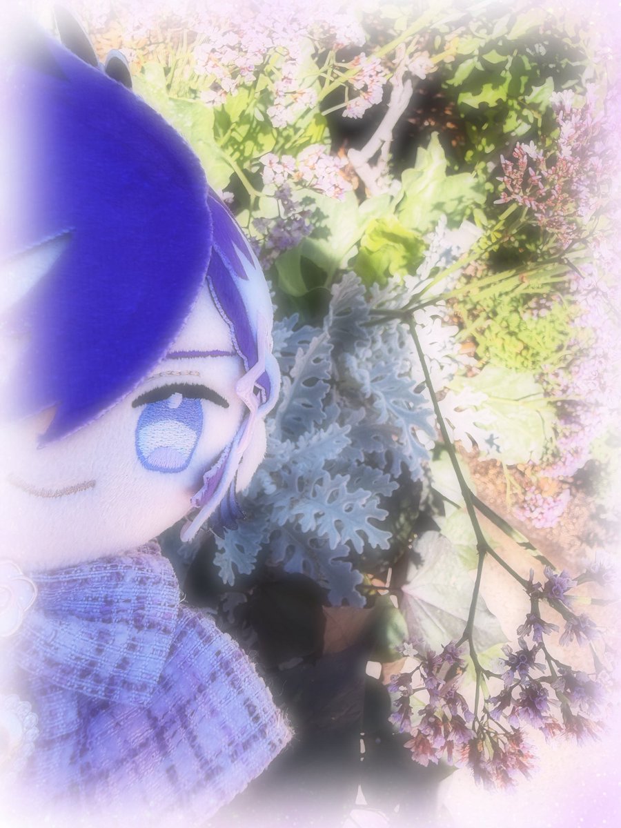 🐦‍⬛ omo 🔅 tweet media