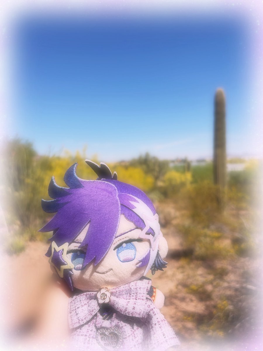 🐦‍⬛ omo 🔅 tweet media