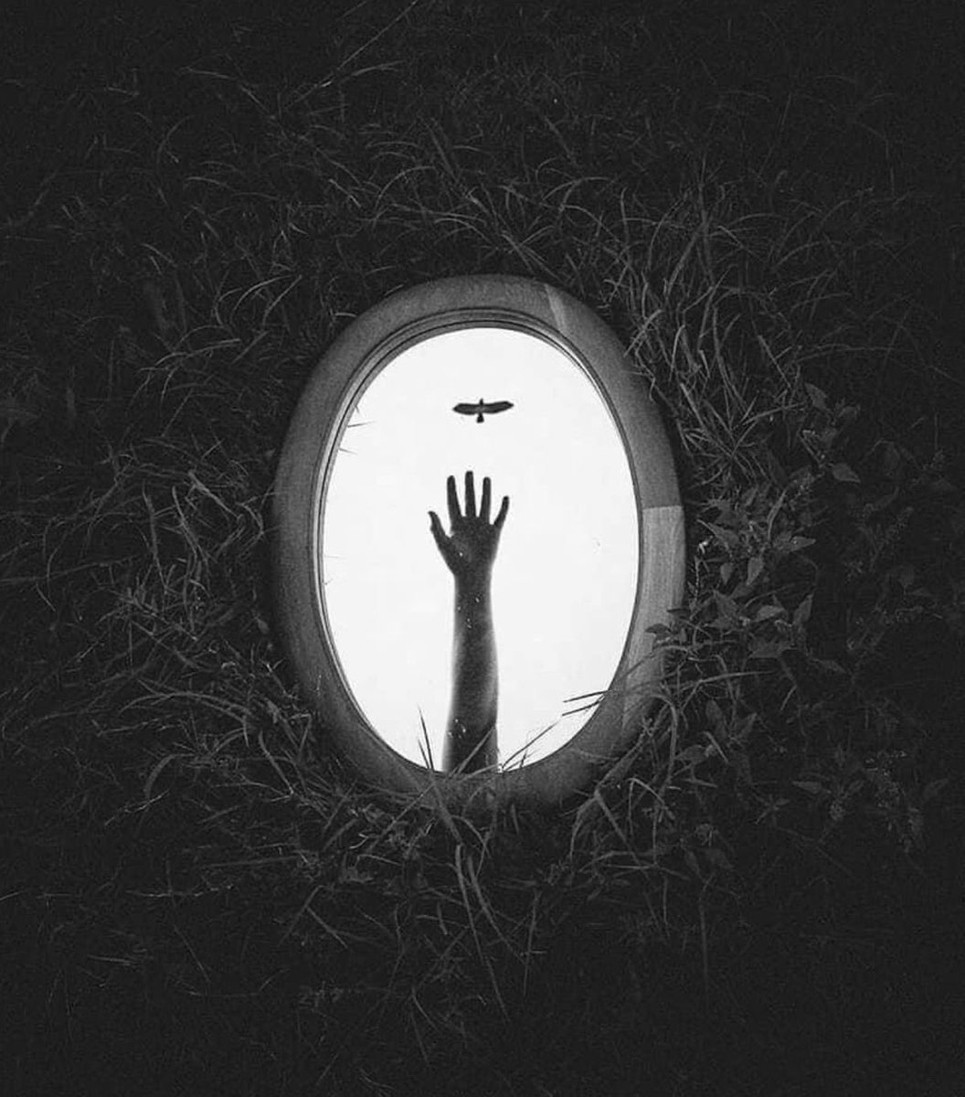 philosophy. tweet media