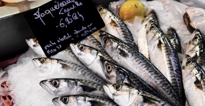 Jose Carlos Capel tweet media