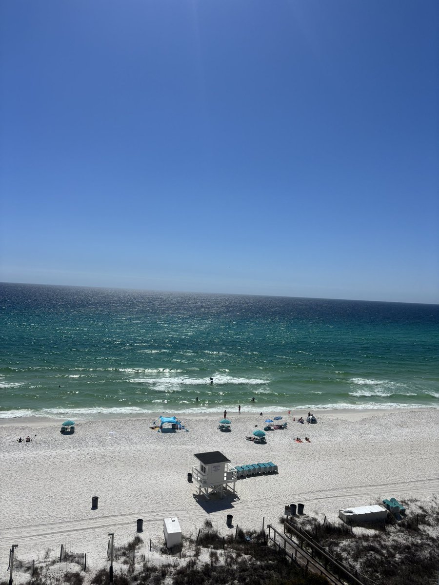 SOUTHERN JEEPER tweet media