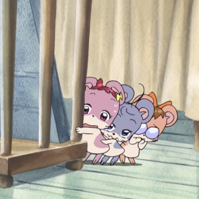 احلى هامسترات شفتهم بحياتي