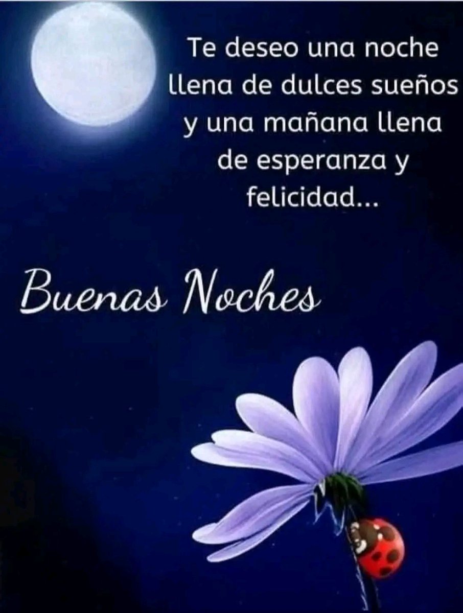 Mbel.co.2810 tweet media