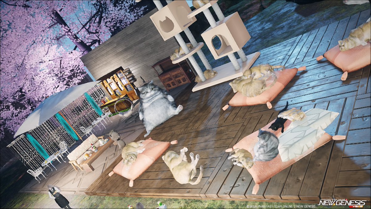 狐伯/JOTA④ tweet media