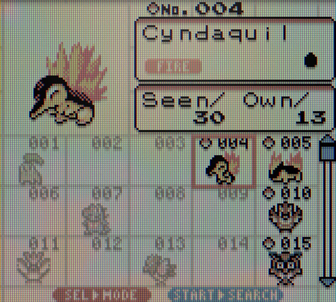 Senhor Linguica Pro tweet media