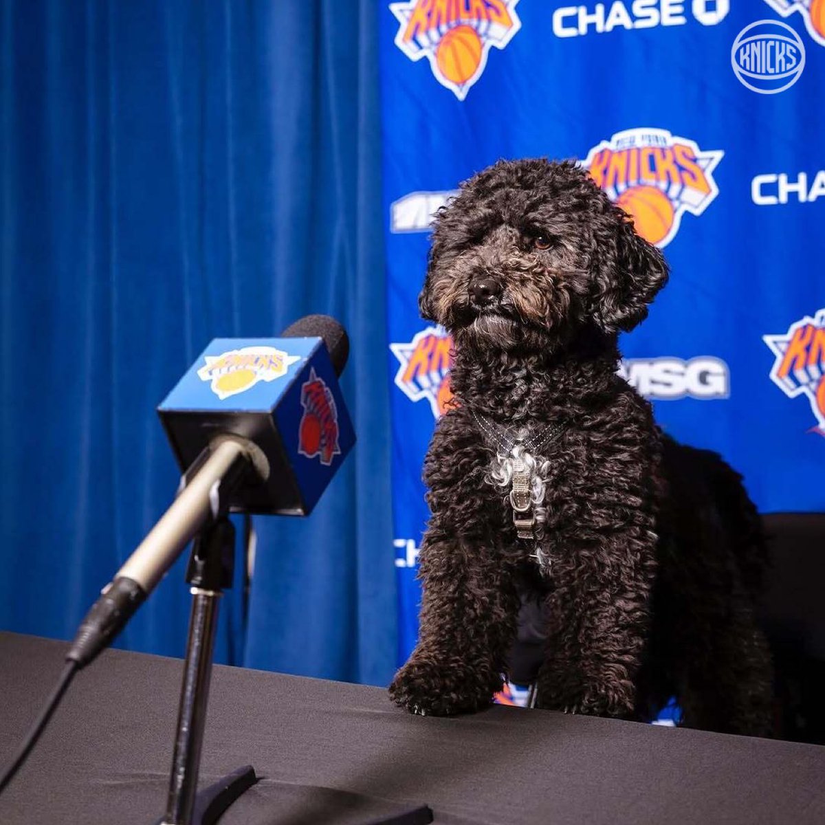 NEW YORK KNICKS tweet media