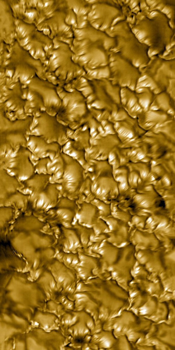 Vida en Positivo tweet media