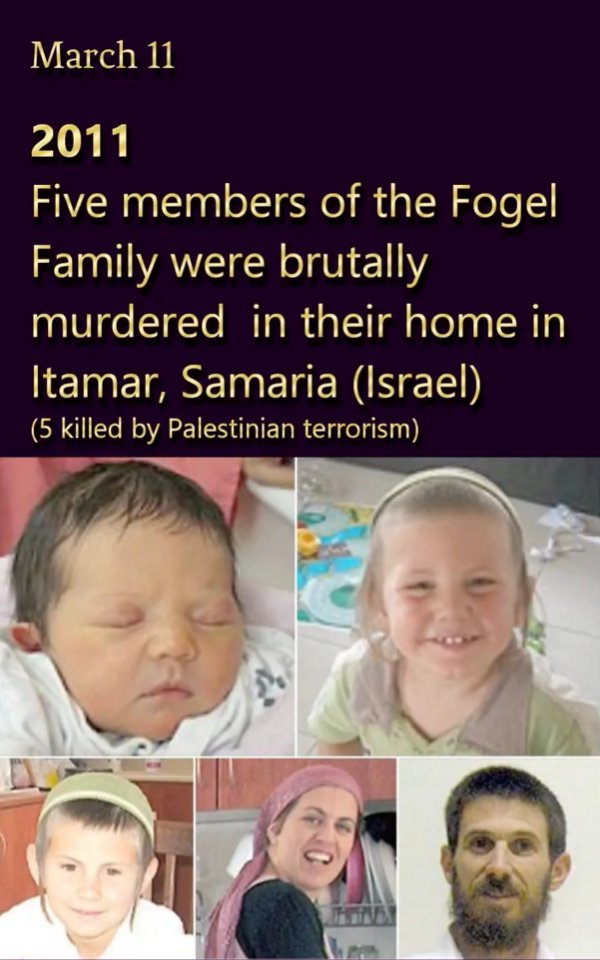 MEFF MiddleEast tweet media