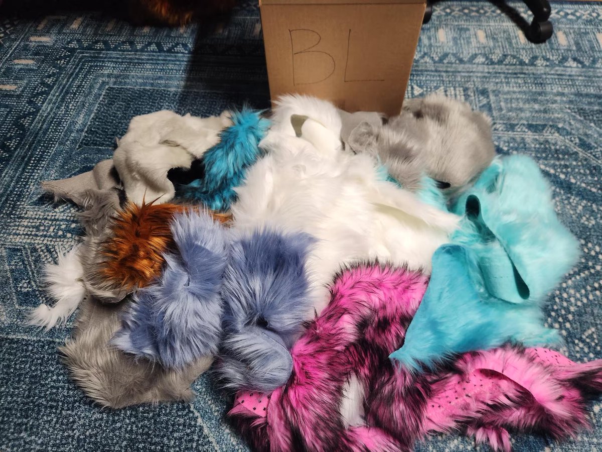 Pocket Wolf tweet media