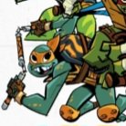 Mini 🐢 tweet media